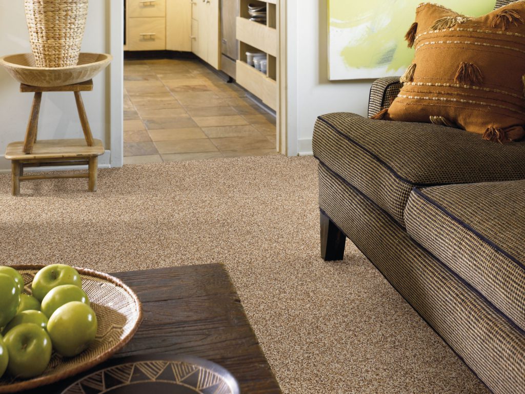 Want Frieze Carpet? Bentford is the Durable, Casual Look You’ve Been