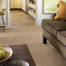 Want Frieze Carpet? Bentford is the Durable, Casual Look You’ve Been Searching For