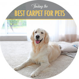 Finding the Best Carpet for Pets